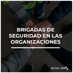Brigadas de Seguridad en las Organizaciones