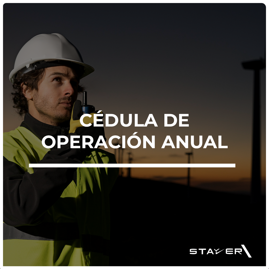 Cedula de Operación Anual