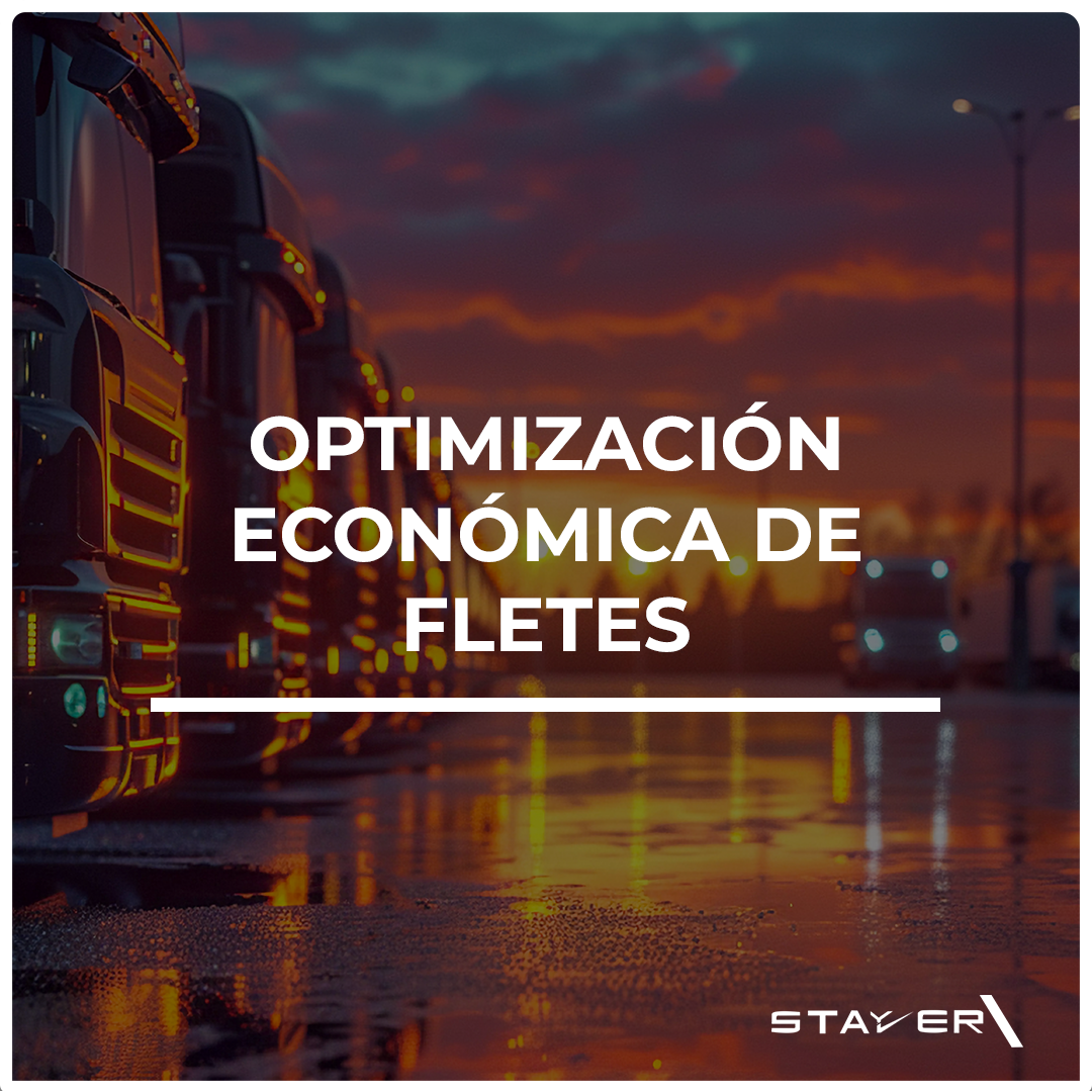 Optimización Económica de Fletes